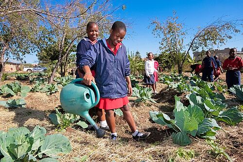 Für „Regionale Landwirtschaft in Sumbawanga, Tansania“ spenden
