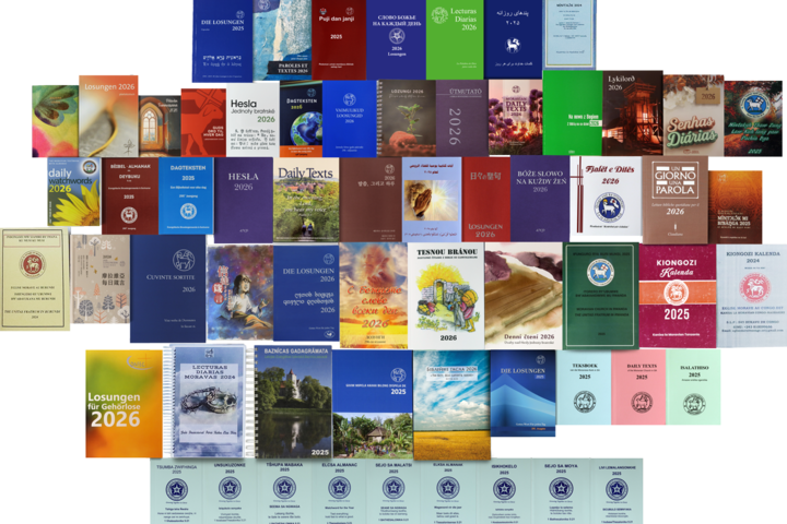 Gruppenbild mit Covern von Losungen aus aller Welt
