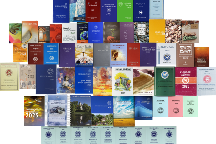 Gruppenbild mit Covern von Losungen aus aller Welt