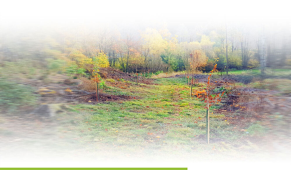 20221103_die_neue_Allee